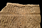 Close-up of Popes Creek decorated rim sherd from cord-marked vessel#1   on left - exterior surface on top, interior on bottom - Hamilton Collection, 18CH58.